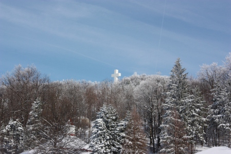 winter cross view